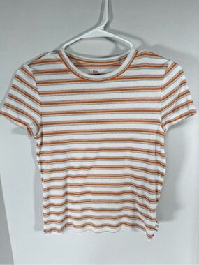 American Eagle Outfitters White Tee with Orange and Tan Stripes